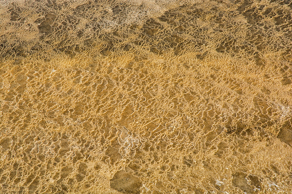 Mammoth springs